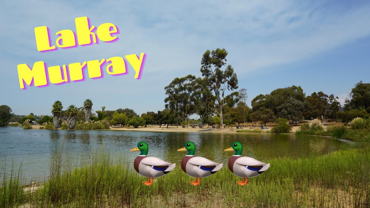 週末雜記:勞動節假期~來去聖地牙哥南方遊湖賞鴨!Vlog:Mission Trails Regional Park Lake Murray|TinyTinna 縮圖