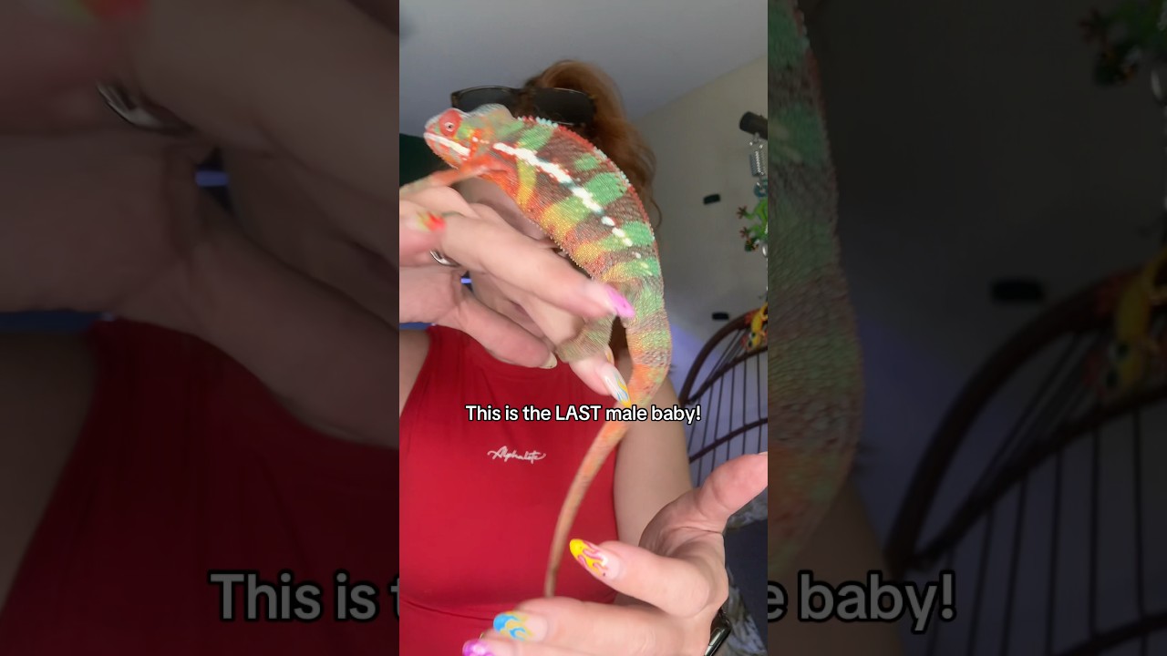 He’s the last one!