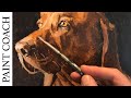 Oil Painting Techniques | How I break down a PET PORTRAIT step by step