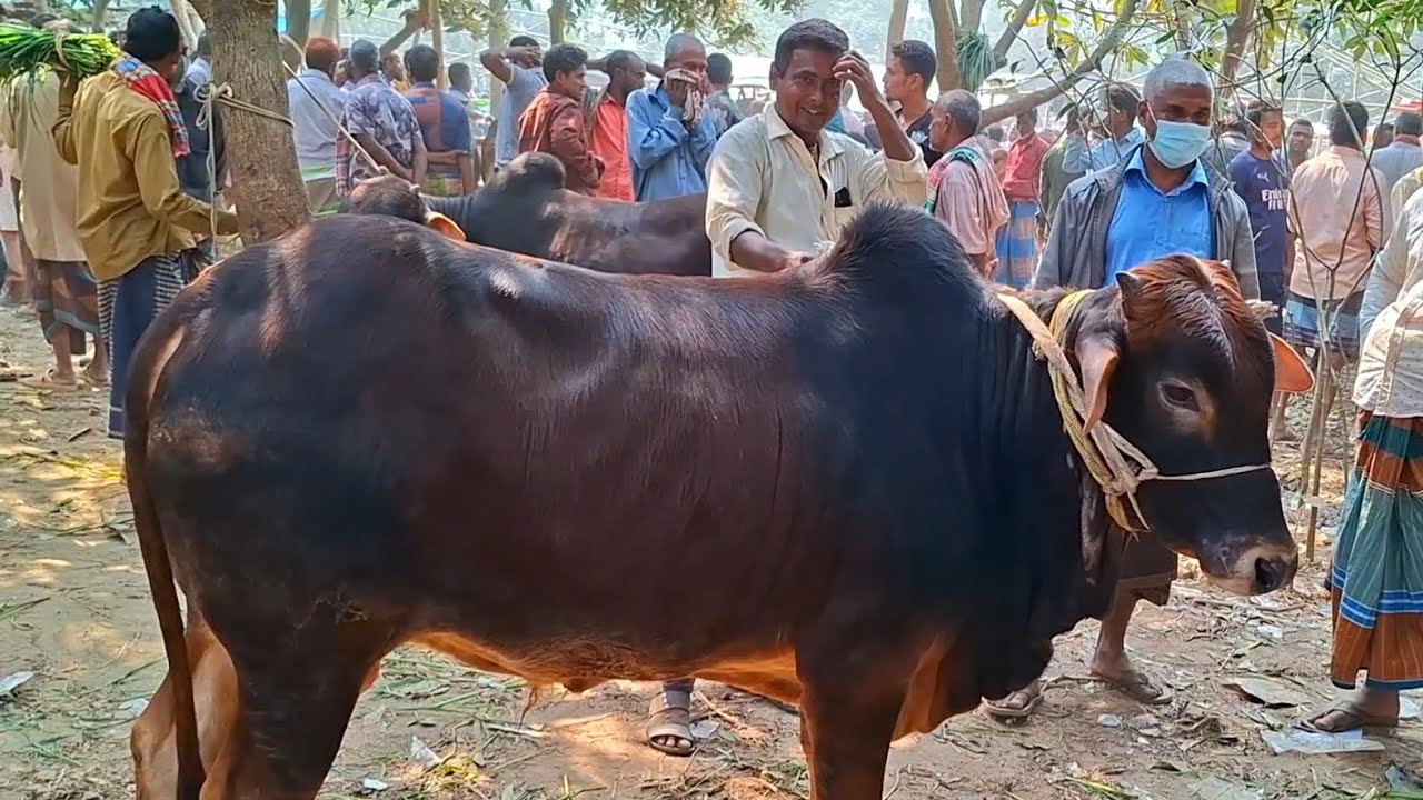 @আজ ২৮ ফেব্রুয়ারী