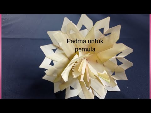 cara membuat padma