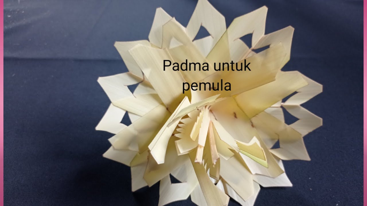 cara membuat padma untuk pemula