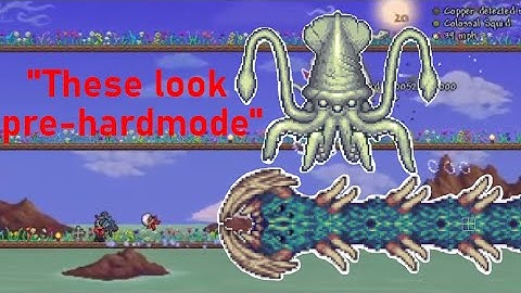 The Calamity Mod Experience