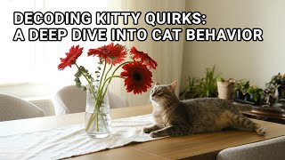 Decoding Kitty Quirks: A Deep Dive into Cat Behavior