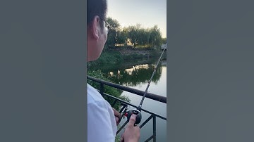 Cần câu máy ngang rút gọn 33cm, 1,8m, câu lure - Fishing Rod and Reel Combos #2 #fishing #shorts