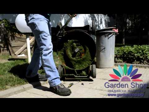 Видео: Как да си направим разстилане на трева зойсия?