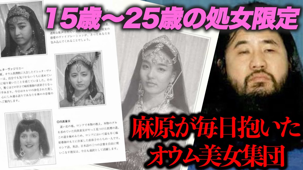 活動歴および当時の関連ビジュアル記録