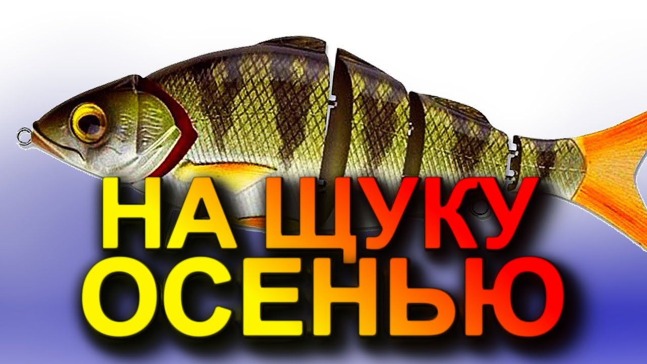 ЩУКА В ОКТЯБРЕ НА СПИННИНГ. ВОБЛЕР НА ЩУКУ. РЫБАЛКА НА СПИННИНГ. ЩУКА ...