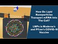 Lipid Nanoparticles - How do they work - Structure of LNPs - LNPs in mRNA vaccine Pfizer/Moderna