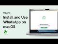 How to Download and Install WhatsApp on macOS
