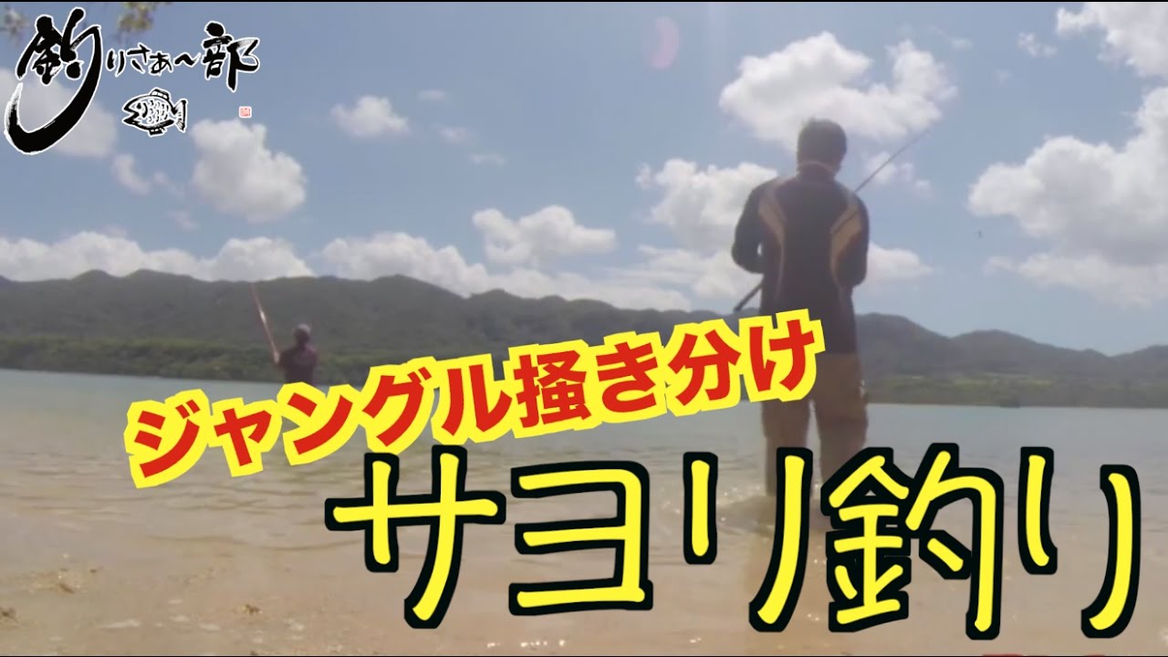 Vol 036 伝統漁 シガヤー ウデナガカクレダコ を捕まえる Youtube