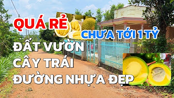 Chưa tới 1 Tỷ Có 1000m2 mảnh vườn cây trái, quy hoạch đất ở, đường nhựa đẹp mê ở BRVT 