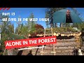 We are building a bushcraft log cabin for survival in the wild