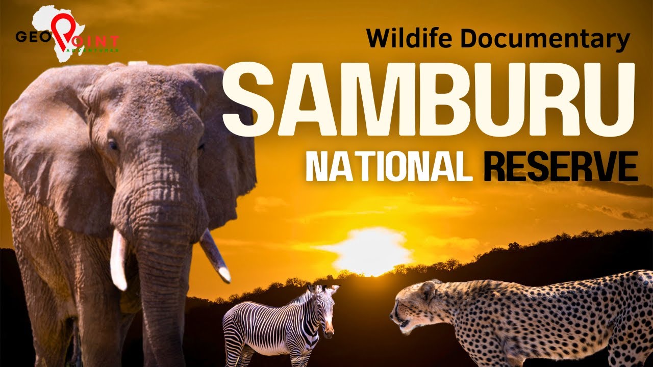 THE SAMBURU EXPERIENCE [Ep-4] | WILD SAMBURU NATIONAL RESERVE, Kenya's HIDDEN GEM in the NORTH 🇰🇪