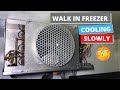 Walk in freezer isnt getting cold enough