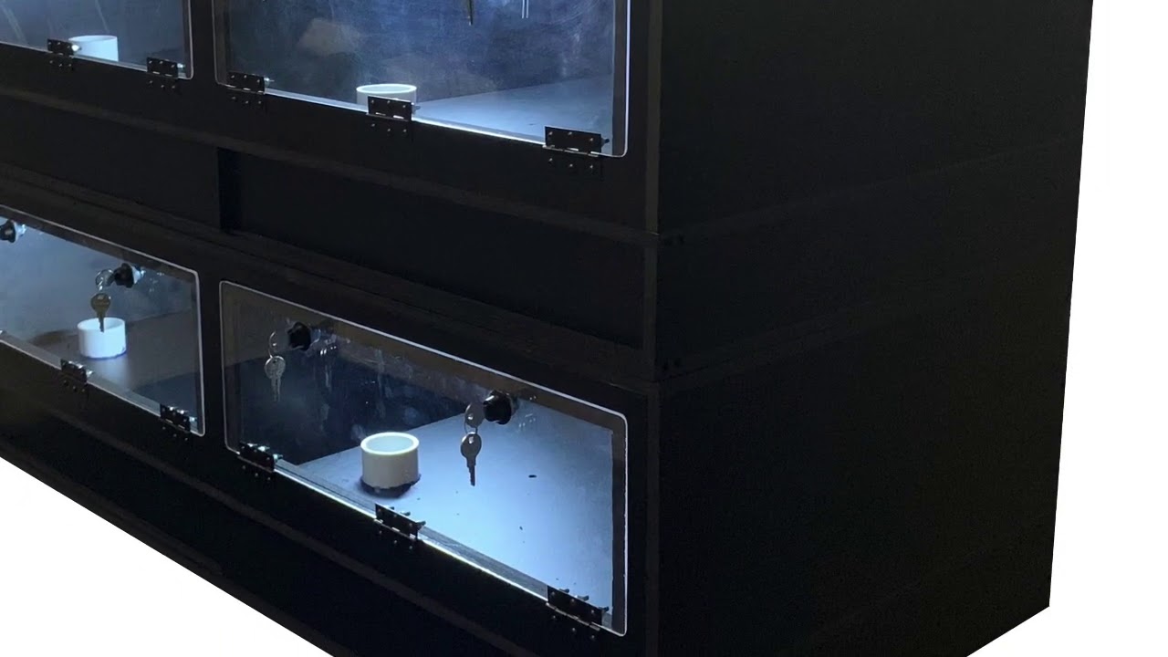 Scale-Box Pvc enclosure - YouTube