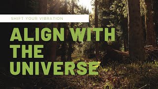 abraham hicks rampage of ease and flow with music
