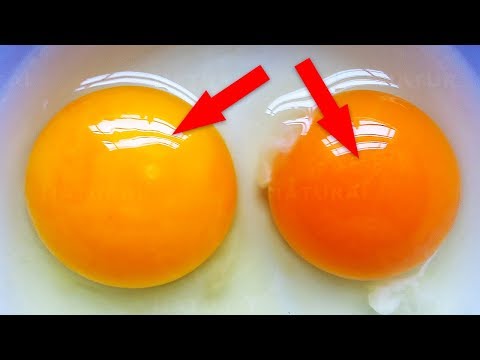 यह आपके अंडे की जर्दी का रंग क्या है