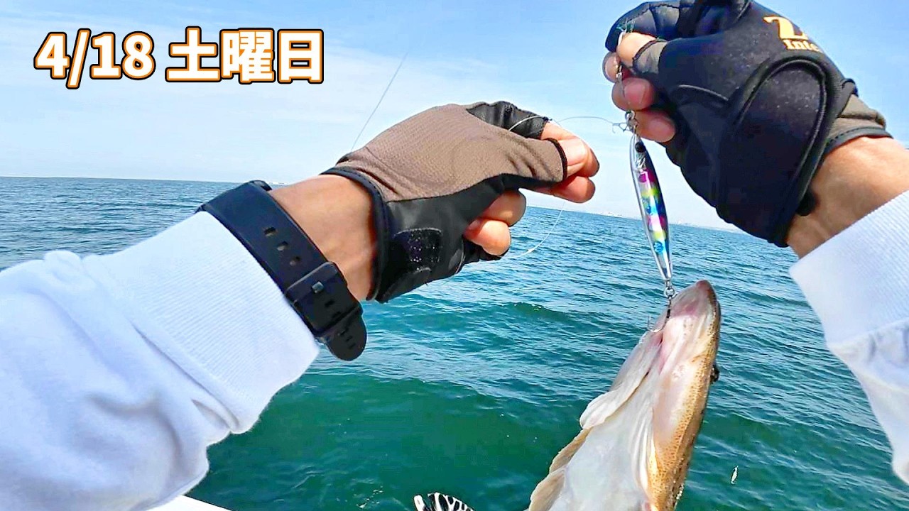 釣ってきました Vol266 【7年目突入】【マゴチ釣り】【Zeake