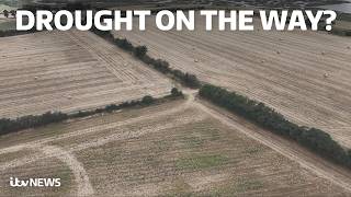 Warnings over the impact of recent extreme weather