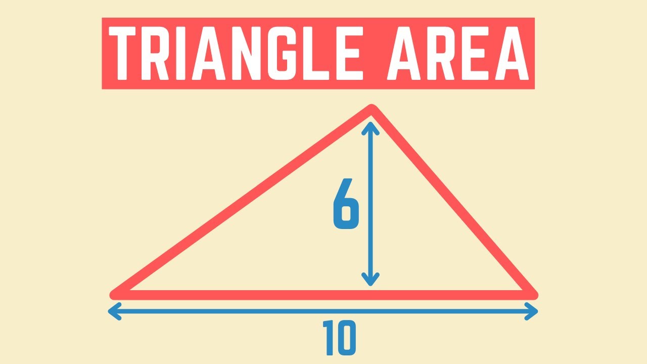 How to find the area of a triangle | Math Basics - YouTube