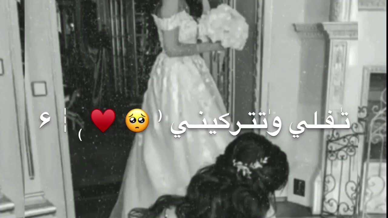 رفيقتي وتيني || ♥️😍 حالات واتس اب صداقة 😻🌸 حالات غرور بنات 🕊💗 صديقات المدرسة - فيديوهات عرس اختي