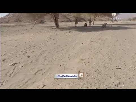 قرية الشبحة في أملج مناخ معتدل وأرض منبسطة
