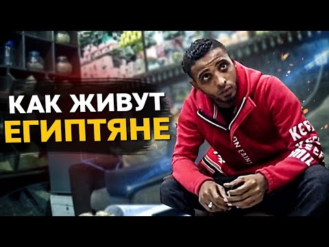 Видео: Как живеят египтяните