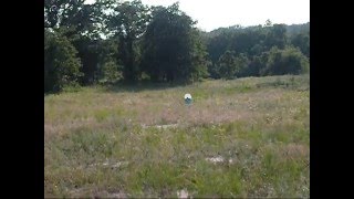 Tannerite Compilation 0002