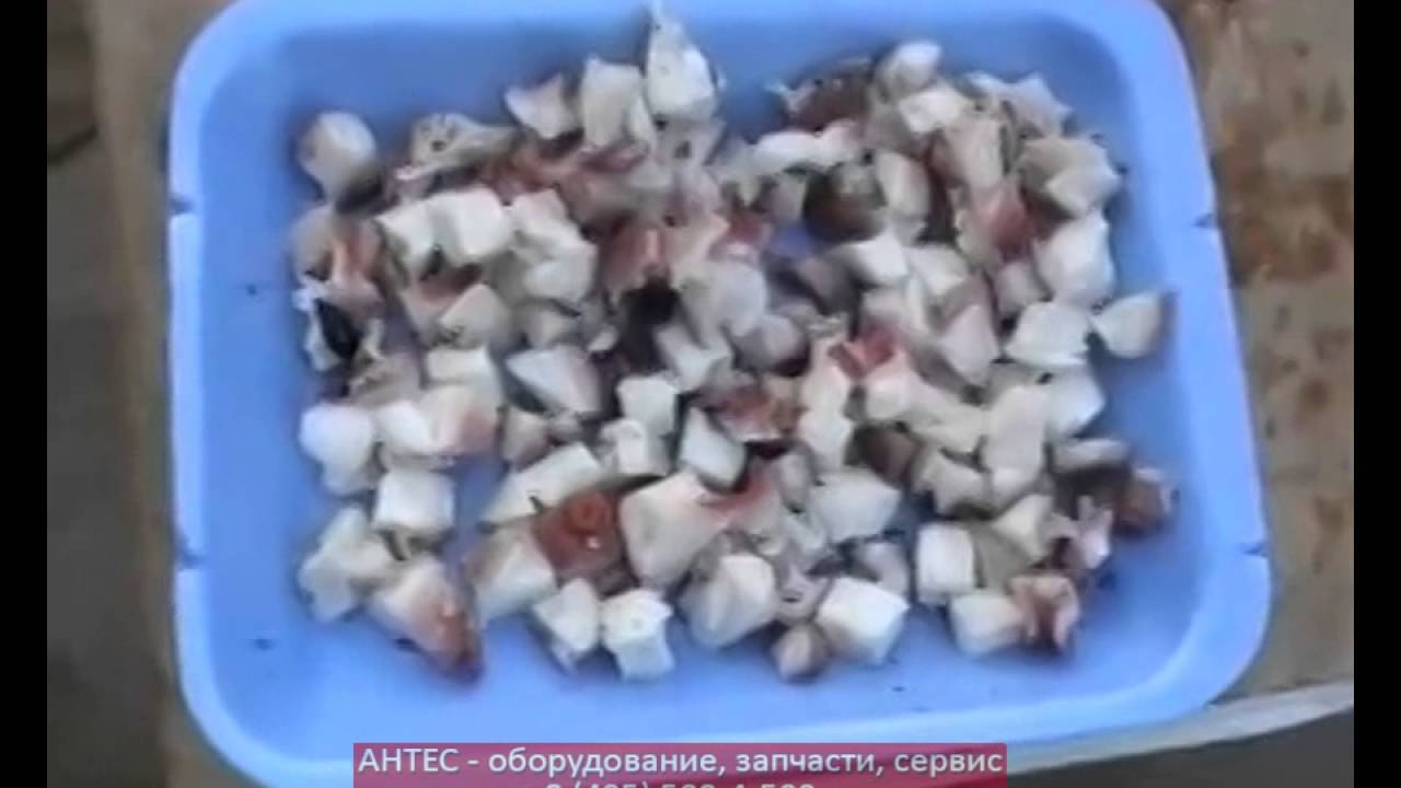 antesberger KRONEN KUJ - нарезка каракатицы 10x10x10