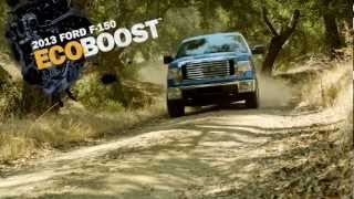 Evergreen Ford F150 March 2013