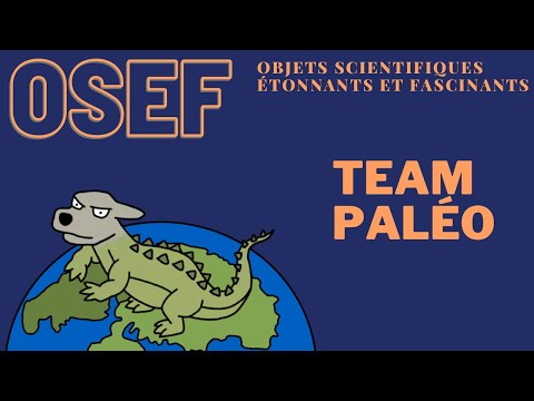 Vidéo: D'où viennent les lémuriens ?