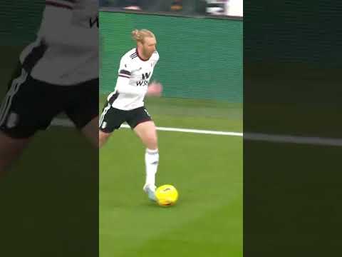Fulham Fans loving Tim Ream 🇺🇸 #shorts