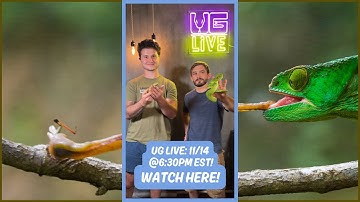 UG LIVE SHOW - 11/14 @ 6:30PM EST