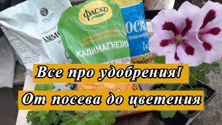 УДОБРЕНИЯ(ПОДКОРМКИ) . ОТ ПИКИРОВКИ ДО ЦВЕТЕНИЯ. ВСЕ ЧТО НУЖНО ЗНАТЬ