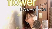 アコギでラルク Flower L Arc En Ciel Youtube アコギでラルク Flower L Arc En Ciel Youtube