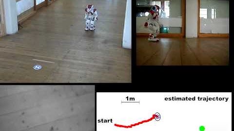 Learning Reliable and Efficient Navigation with a Nao Humanoid
