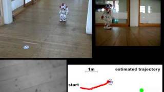 Learning Reliable and Efficient Navigation with a Nao Humanoid
