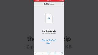 Importing font via AnyFont on iPhone screenshot 5