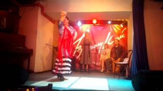 2016.05 Фламенко в Высоцком