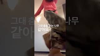 👆💃🦊、、 #izna #이즈나 #MAI