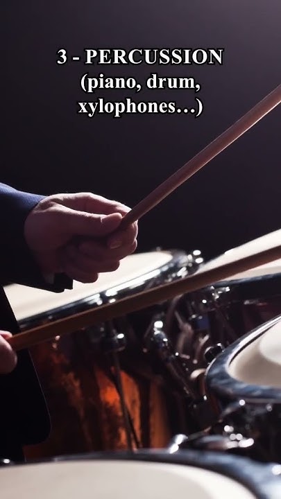 what-are-the-main-instrument-families-in-an-orchestra