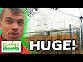NEXT GREENHOUSE...THE OFFER, the PLAN FOR the Aquarium Plants with Vats NEXT GREENHOUSE...THE OFFER, the PLAN FOR the Aquarium Plants with Vats