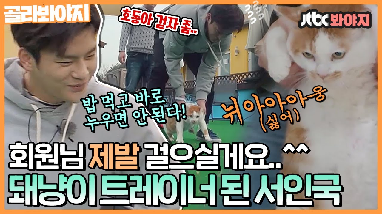 [골라봐야지] 이야..이런 고양이 처음 보네; 앉기만 하면 숙면 모드 ON💤 하얀 거짓말로 헬린냥 운동시키는 서인국💪｜마리와나｜JTBC 160330 방송