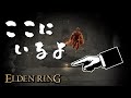 【エルデンリング】汚い侵入　part5【ELDEN RING】