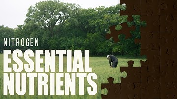 Essential Nutrients a Plant Needs: EP. 2 - NITROGEN