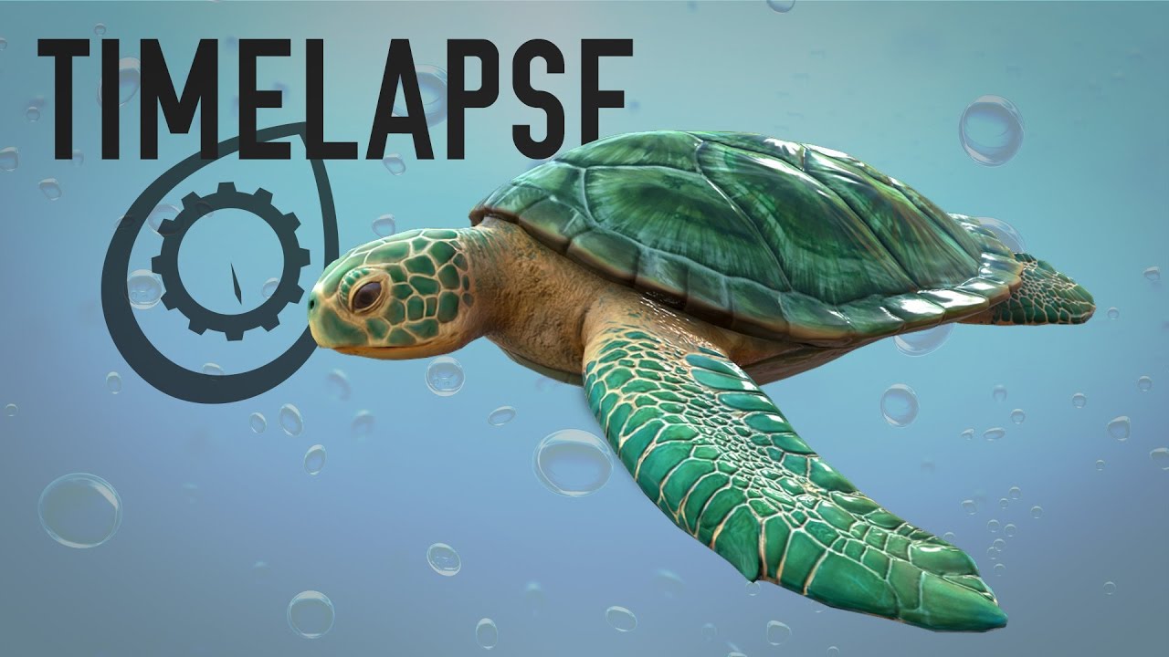 Turtle Base Rigging Sea Turtle 04 - Rigging - YouTube