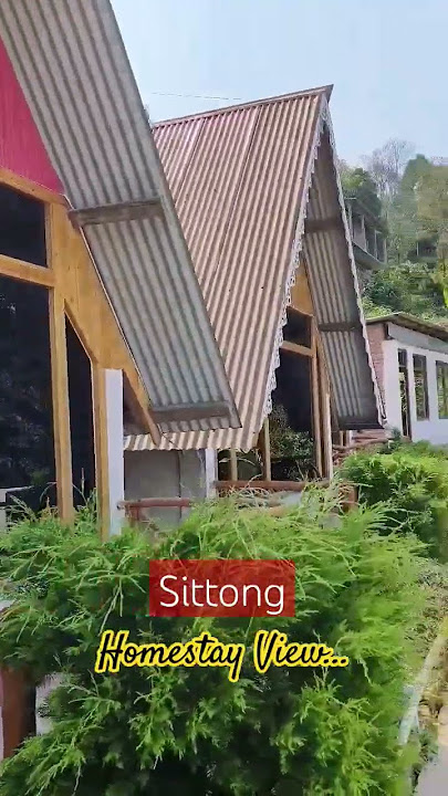 Best homestay in Sittong | Amarbari homestay | North Bengal #homestay  #sittong #travel #mountains