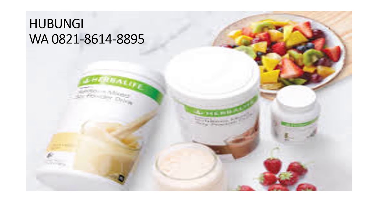 PROMO, WA 082186148895, AGEN HERBALIFE MAKASSAR YouTube