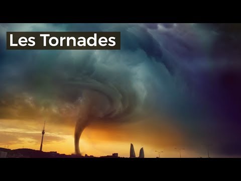 Vidéo: Préparez votre animal de compagnie pour une tornade, un ouragan ou une autre catastrophe naturelle